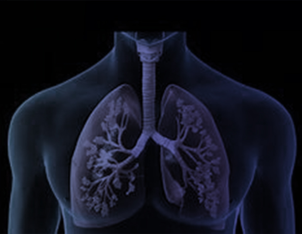 Dexup | Leading ICU Equipment & Medical Device Supplier in India